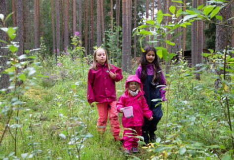 lapset kävelemässä metsässä