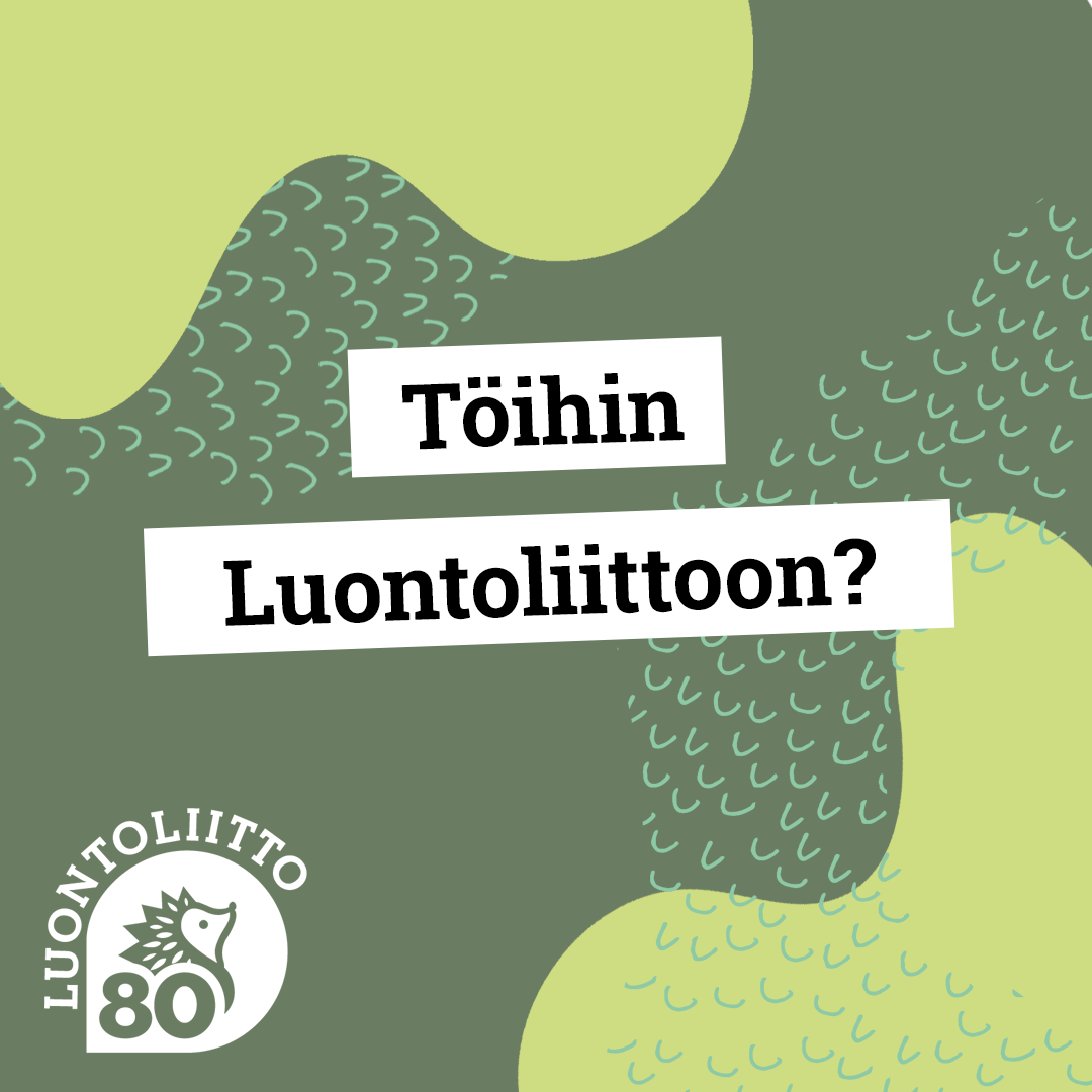 Töihin Luontoliittoon