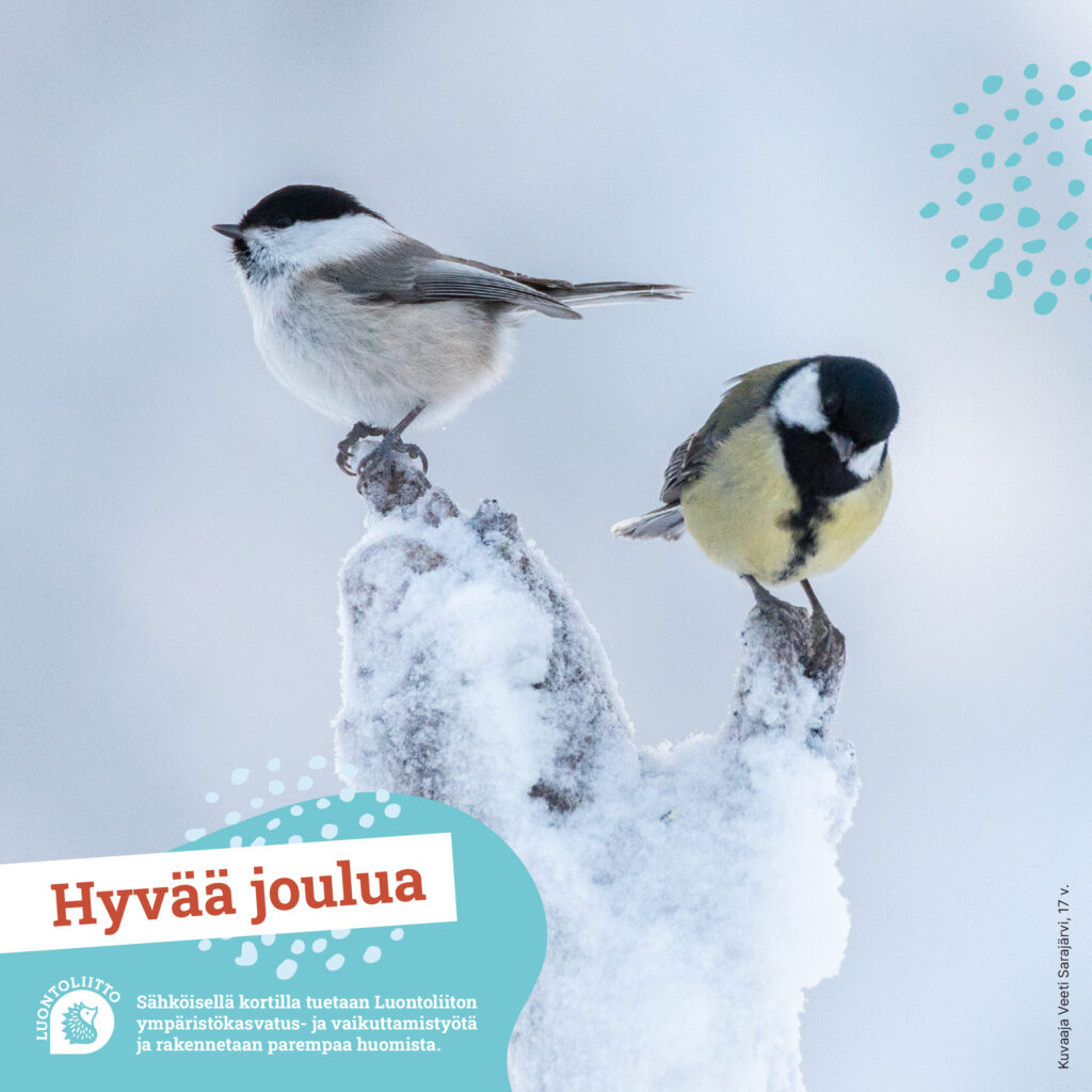 sahkoinen_korttitiaset@2x-100