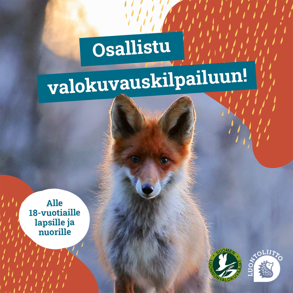 osallistu valokuvauskilpailuun -teksti ja kettu