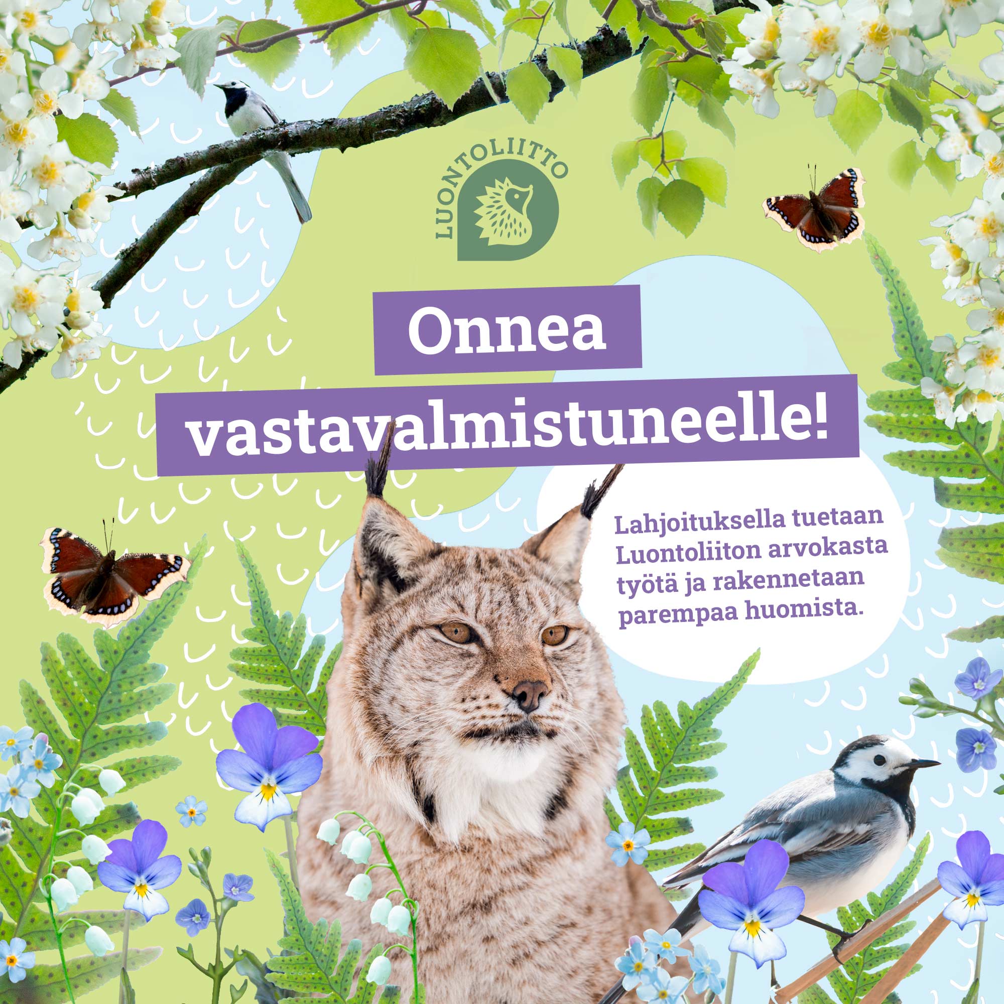 Onnea valmistuneelle, Luontoliiton kortti