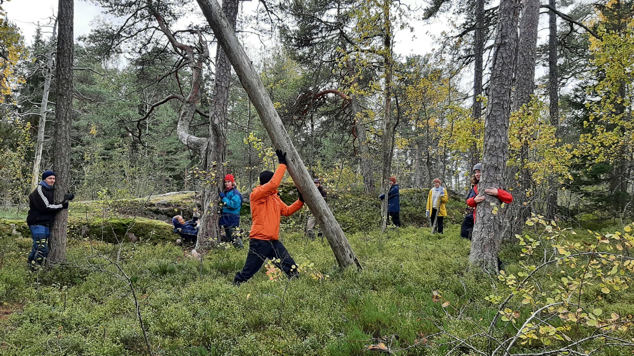 Kotimetsän puolustajat