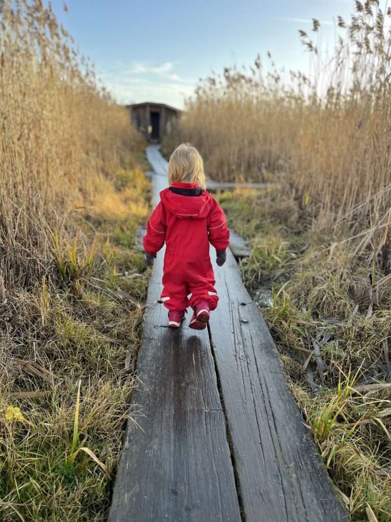 Kuvassa taapero juoksee innoissaan punaisessa haalarissa pitkospuita pitkin kohti piilokojua. Sää on aurinkoinen, taivas kirkkaan sininen ja pitkospuut ovat keskellä kaislikkoa.