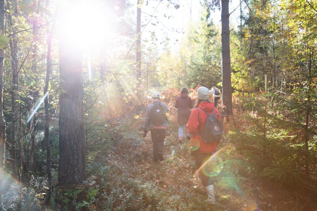 Kuvassa on retkeilijöitä metsässä kävelemässä