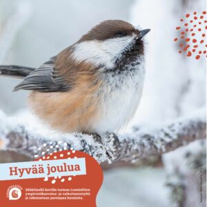 Luontoliiton talvikortit