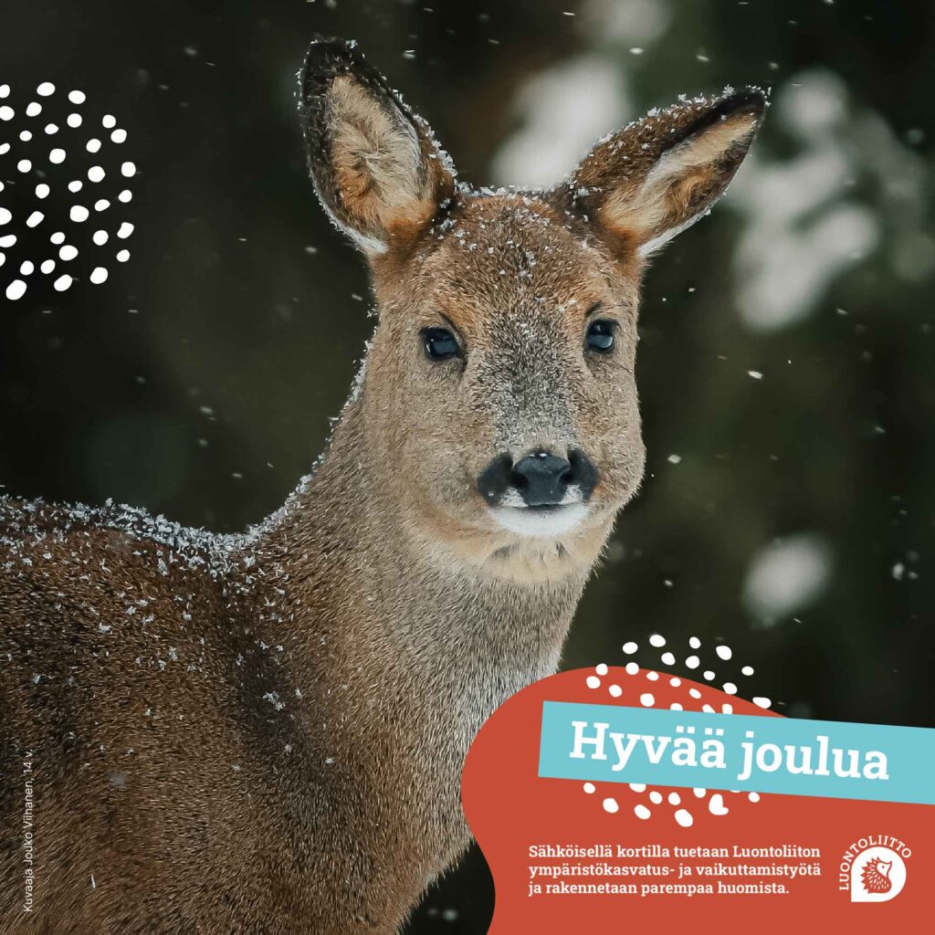 sahkoinen_korttimetsäkauris@2x-100