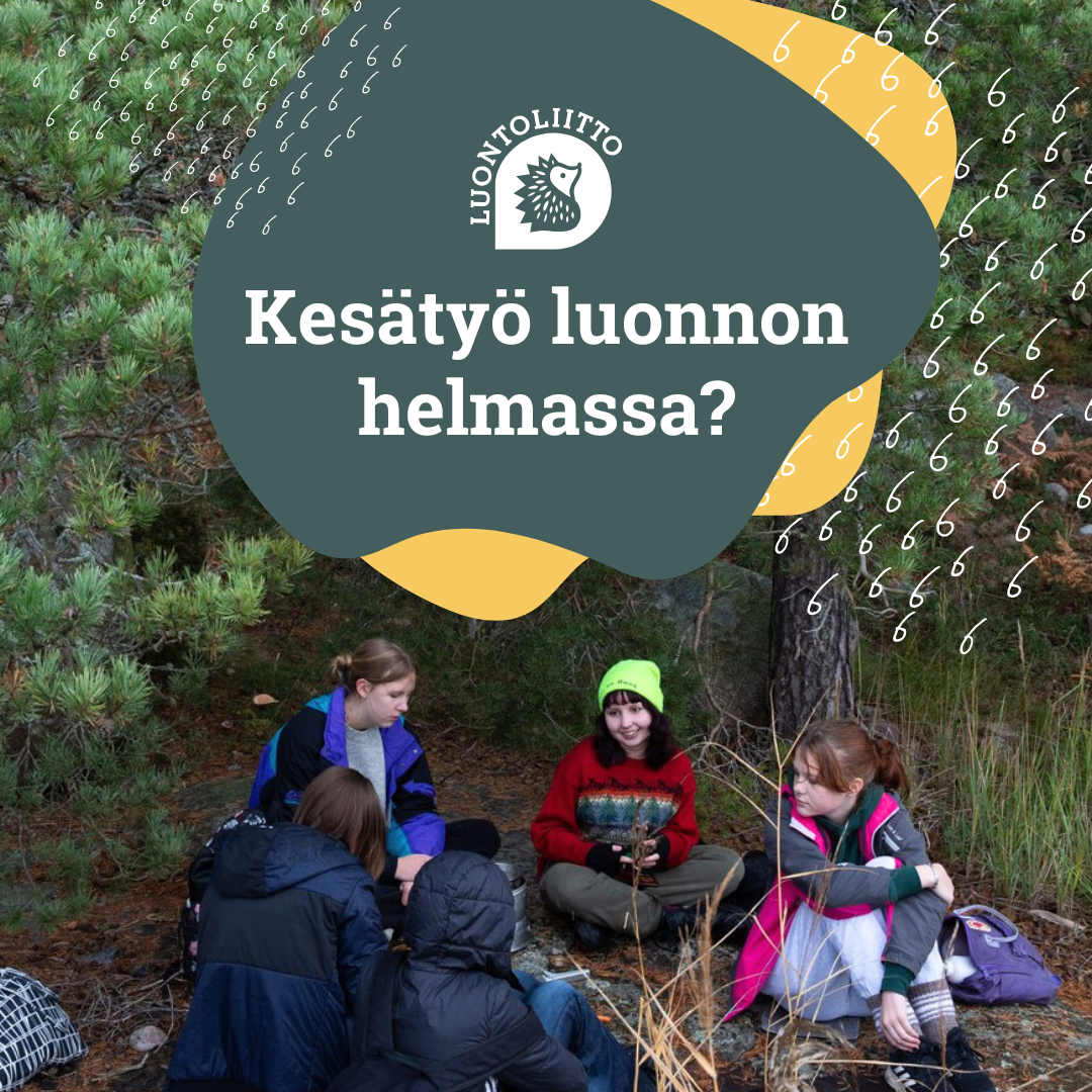 Haluatko Kes ty n Luonnon Helmasta Haku On K ynniss Luontoliitto