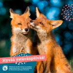 Ystävänpäivä