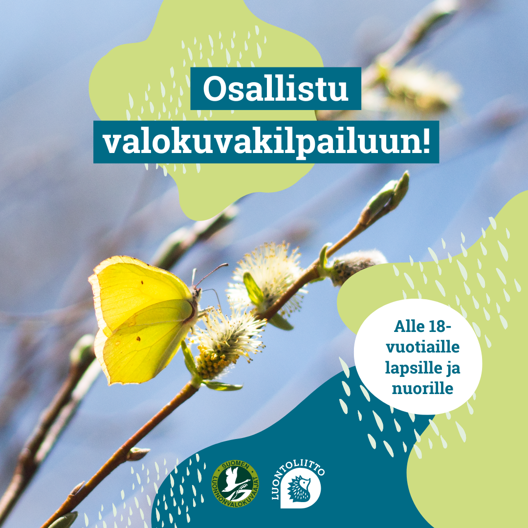 Luontokuvakilpailu