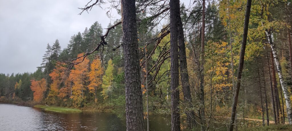 pohjois-karjalan syksy