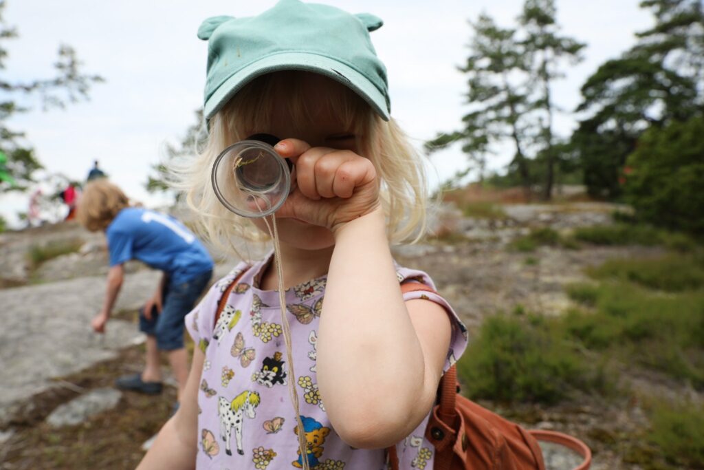 Luontoliitto järjesti 39 leiriä vuonna 2025.