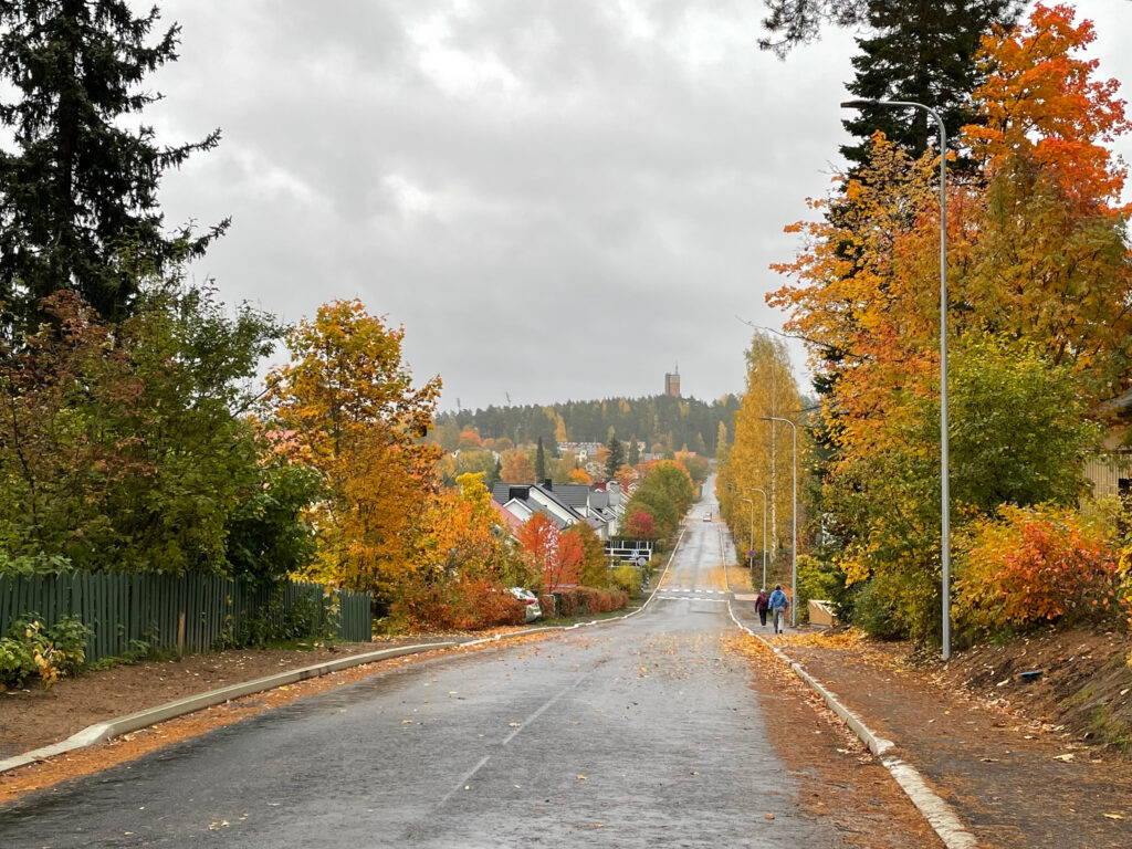 Ympäristötoimijoiden yhteinen kannanotto: 30 prosentin suojelutavoite Jyväskylän kaupunkistrategiaan