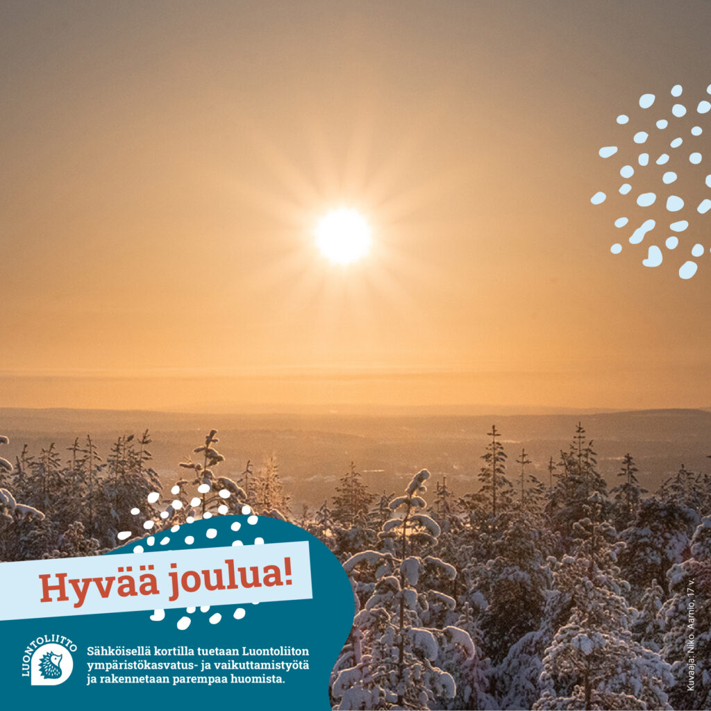 hyvaa_joulua_maisema