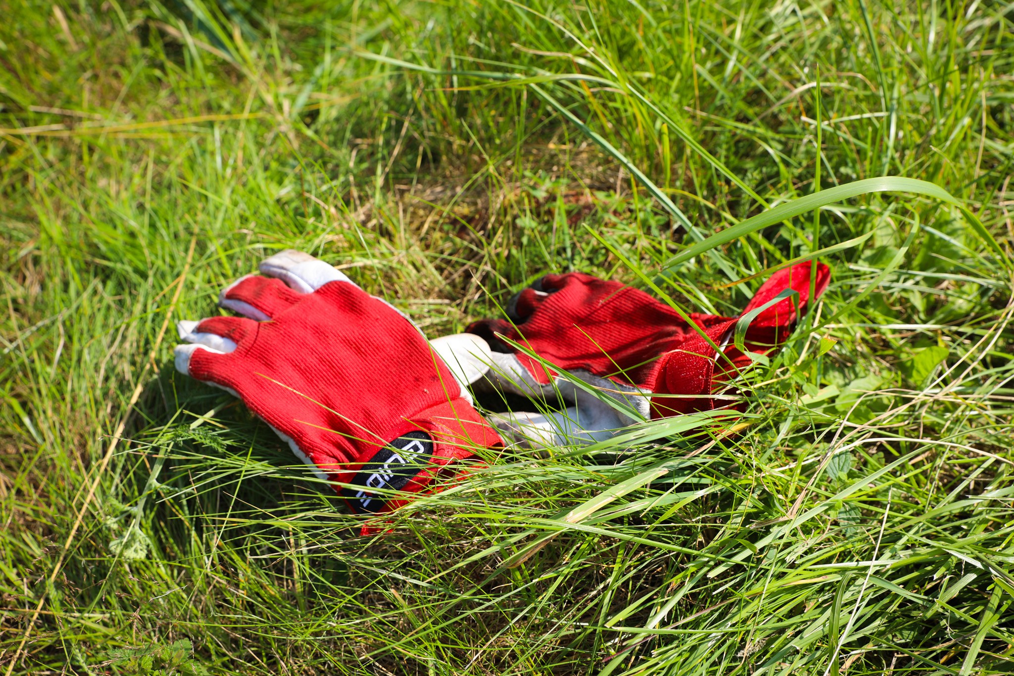 Luontoliitto is now looking for five participants from Finland to form a core group together with five Danish and five Norwegian young people. This group will dive deeply into the themes of food systems, sustainability, and activism.