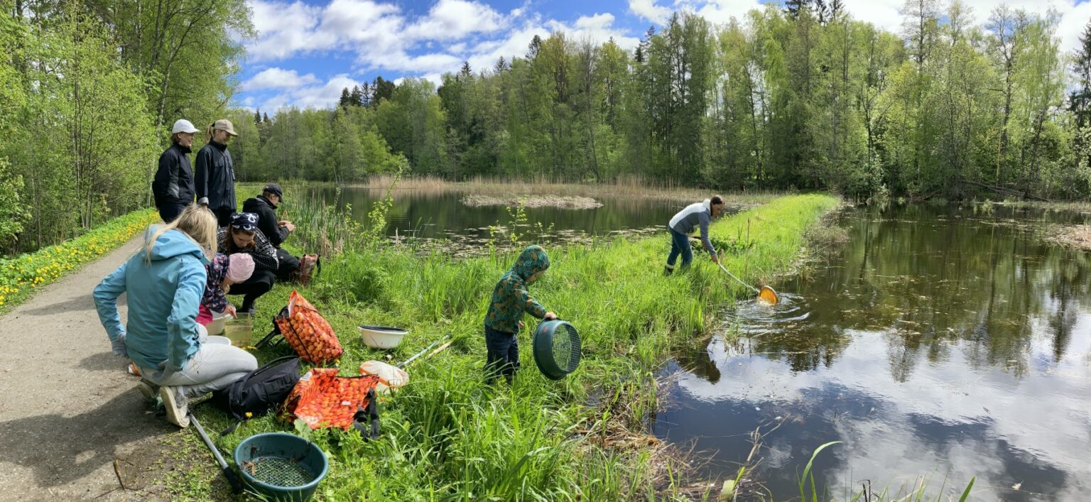 Vesiötökkäretki Porlaan – Viisipiikkejä ja tassiluteita