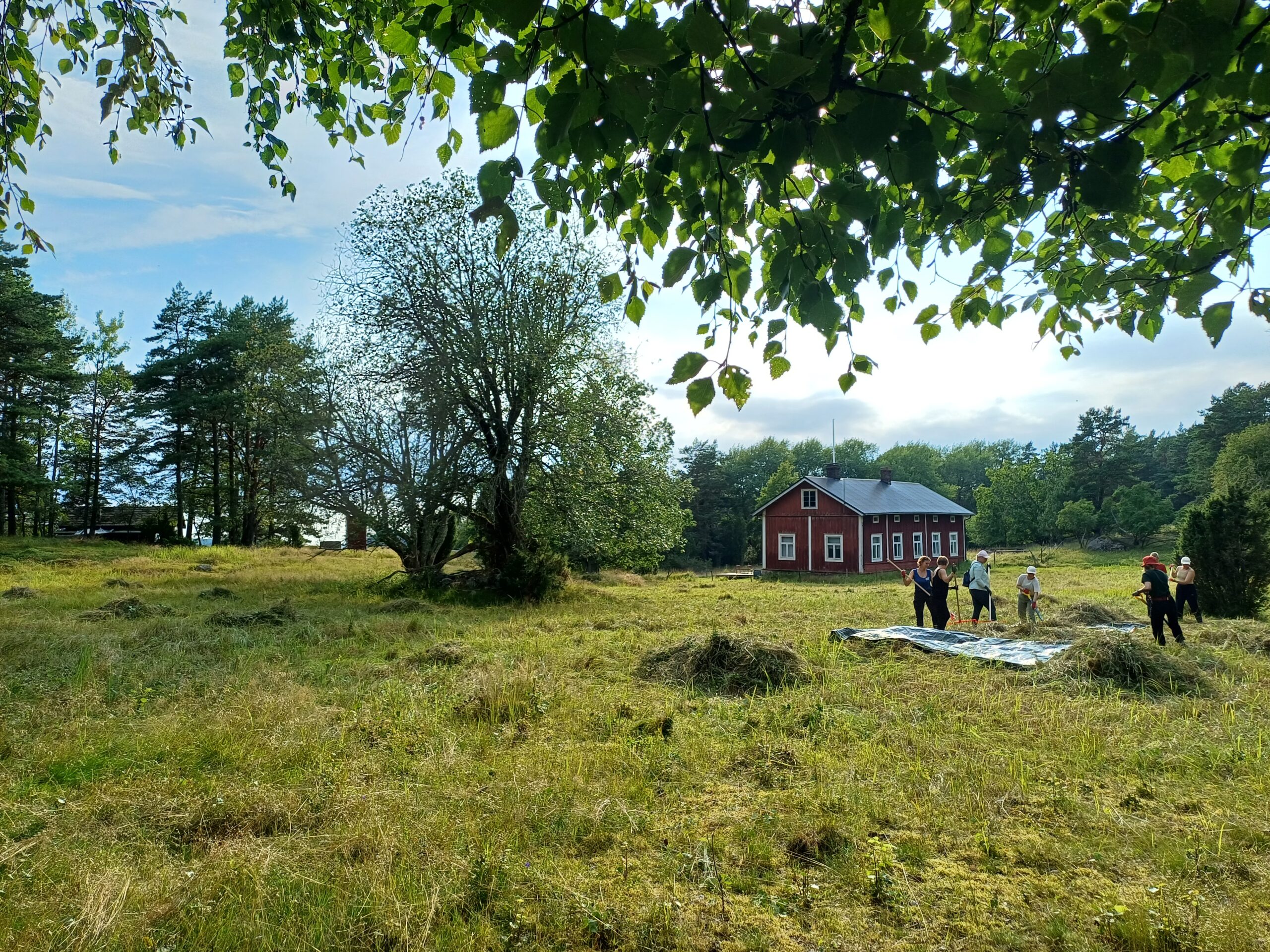 Ennallistamisleiri Getskärin saarella / Restaureringsläger på Getskär