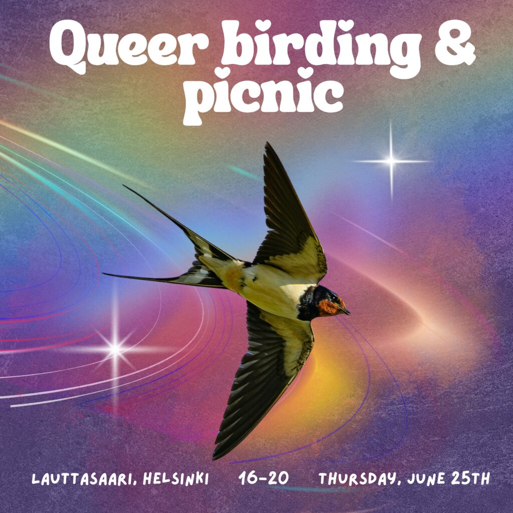 Queer birding and picnic -tapahtuman mainos