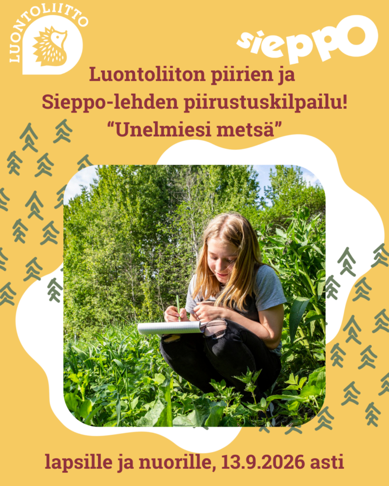 Luontoliiton piirien ja Sieppo -lehden piirustuskilpailu "Unelmiesi metsä" teemalla lapsille ja nuorille 13.9.2026 asti.