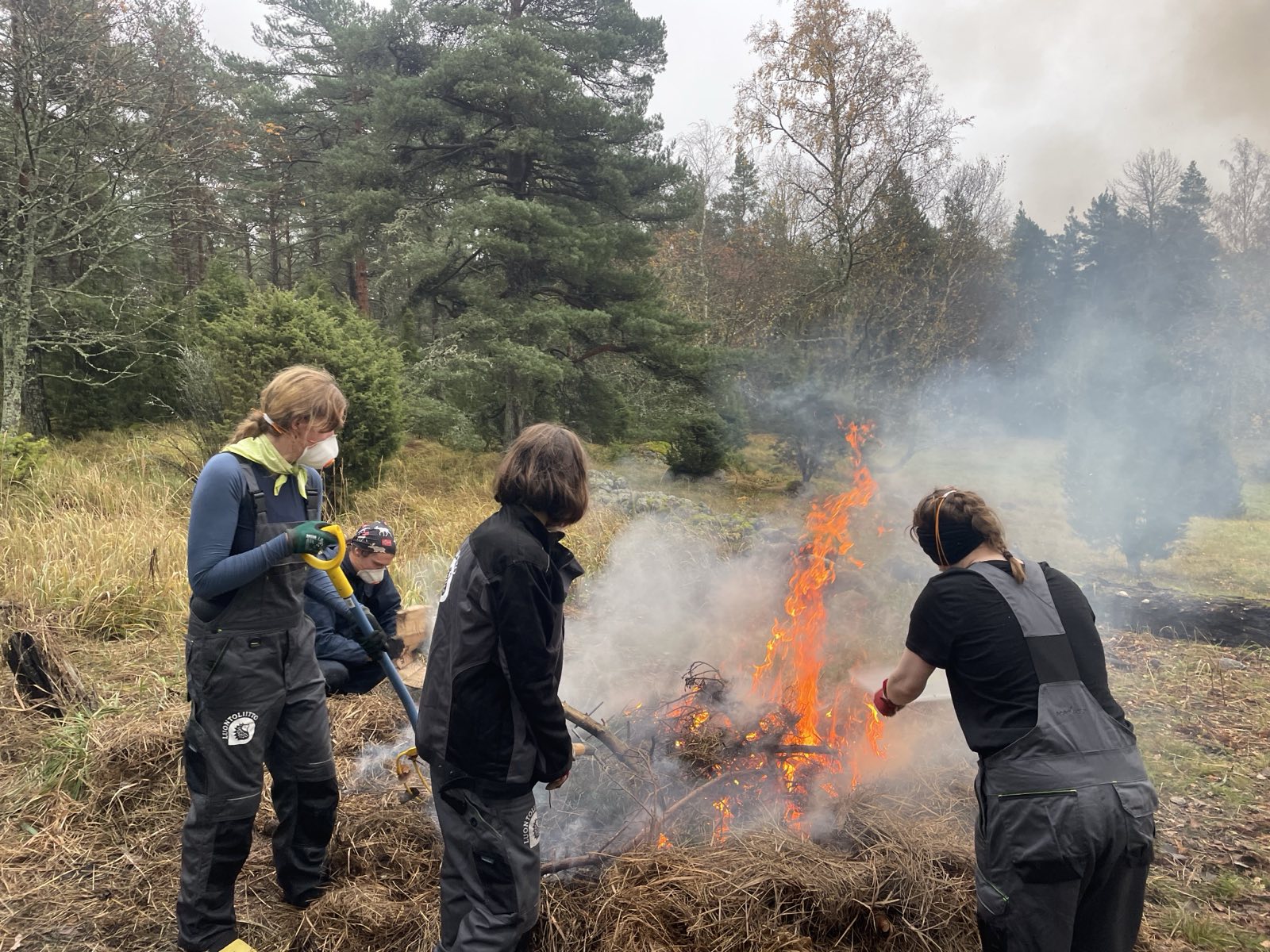 Nuoret perinnebiotooppien puolesta – Polttoleiri Getskärissä!