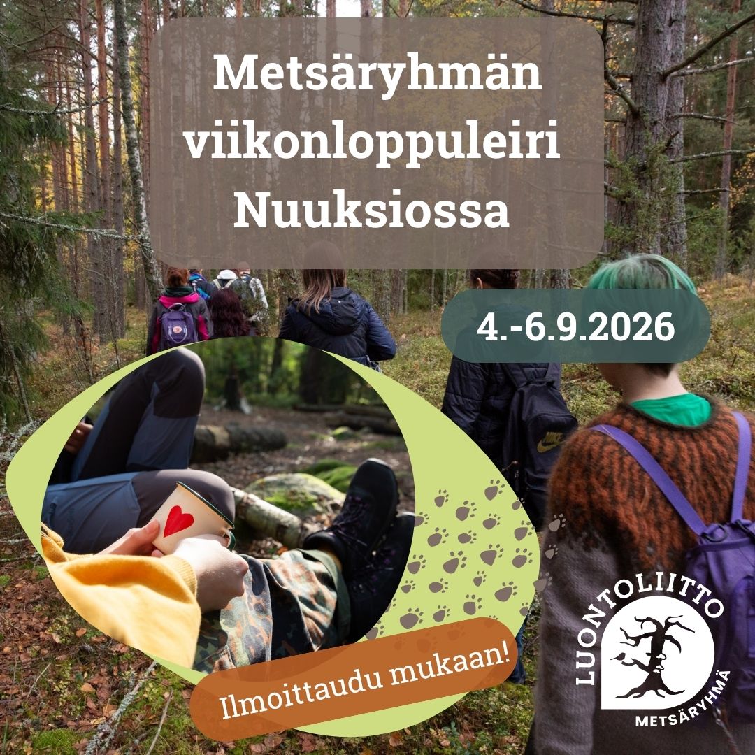 Metsäryhmän syysleiri