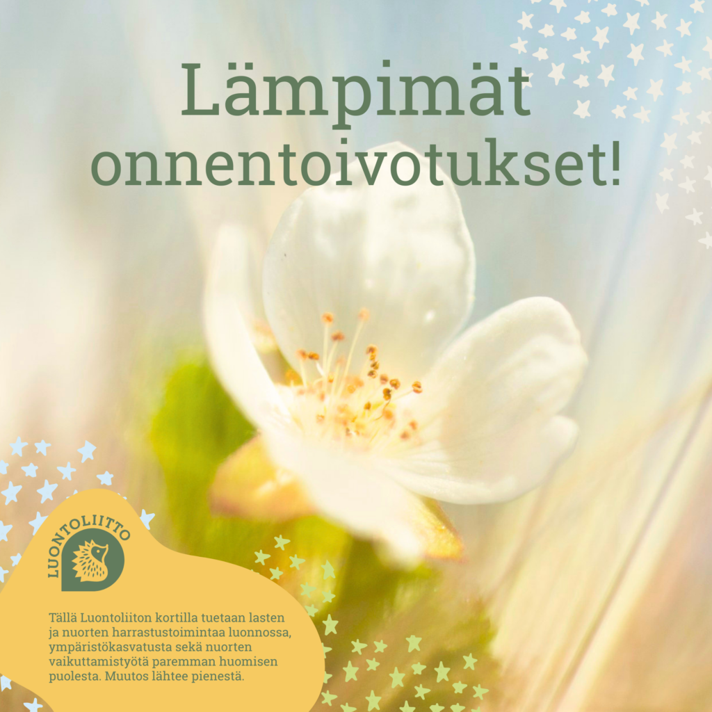 LämminOnnittelu