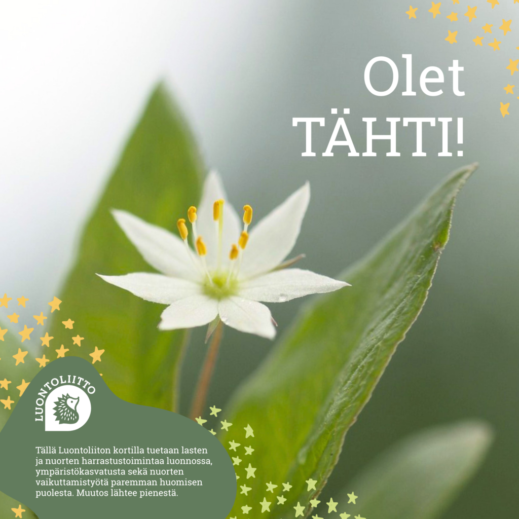 OletTähti