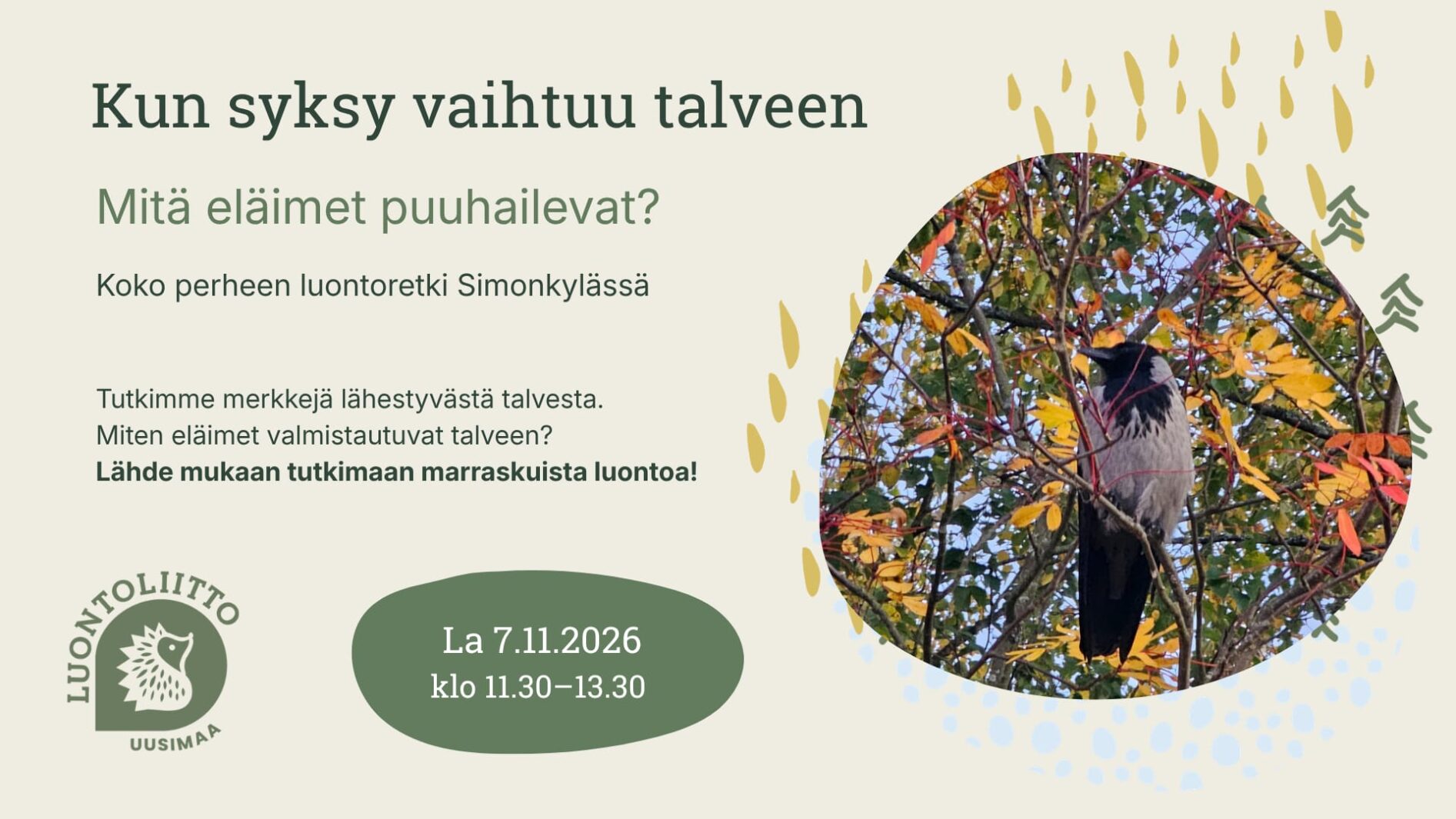 Syksy vaihtuu talveen – mitä eläimet puuhailevat? Perheretki Simonkylässä